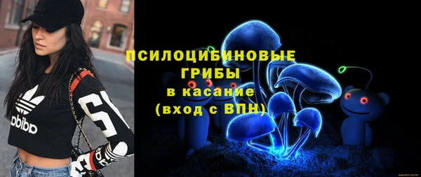 амф Алзамай