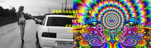 синтетический гашиш Алексеевка