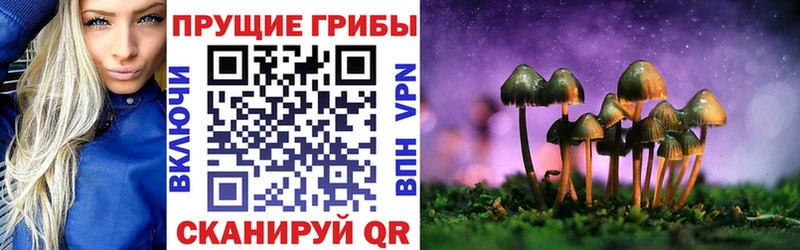 Галлюциногенные грибы Psilocybine cubensis  МЕГА маркетплейс  Ленинск-Кузнецкий  как найти наркотики 