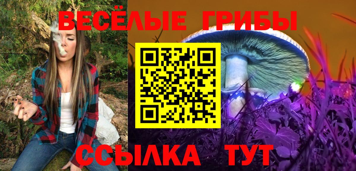 Псилоцибиновые грибы мухоморы Ленинск-Кузнецкий