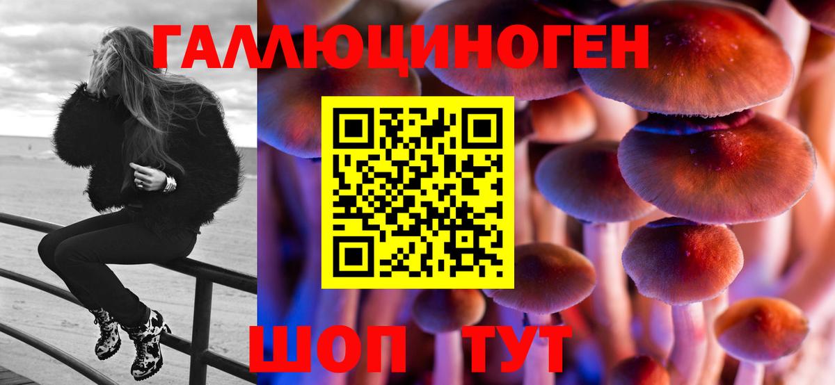 Псилоцибиновые грибы GOLDEN TEACHER  Вход с VPN  Ленинск-Кузнецкий  Галлюциногенные грибы Cubensis 